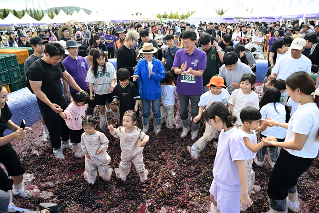 2.30주년 맞은 안산 대부포도축제, 사흘간 2만 4천여 명 찾으며 성료(3).jpg