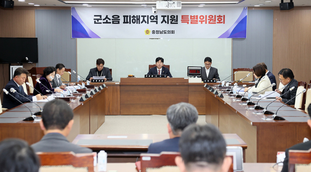 251125_군소음 피해지역 지원 특별위원회 (1).JPG