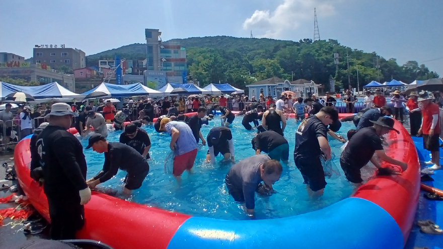 1. 8월 1일부터 2일까지 진행된 제20회 삼길포우럭축제1.jpg