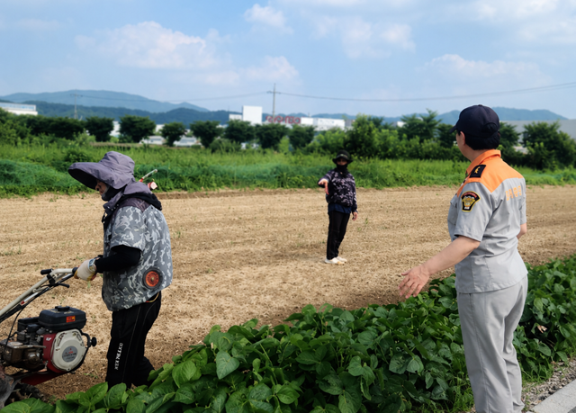 (804)언론이미지.png