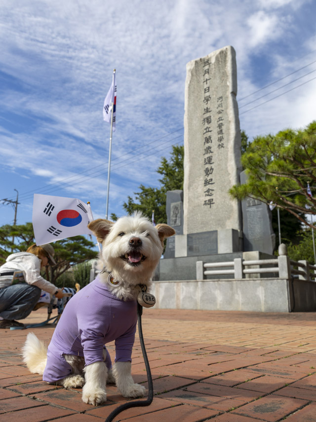(사진1)면천읍성 반려동물 행사(3).JPG