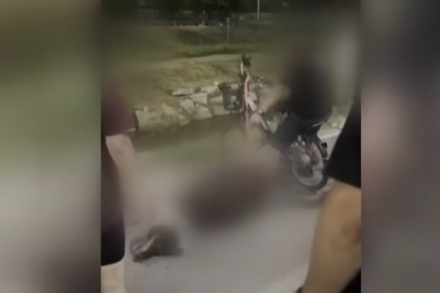 전기자전거에 개 매달고 달려 죽게 한 50대 견주 입건