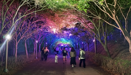 [포토뉴스]독립기념관, 역사와 함께하는 단풍나무숲길 야간개장 현장