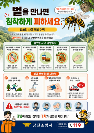 여름철 불청객 ‘벌’…당진소방서, 벌쏘임 예방수칙 당부