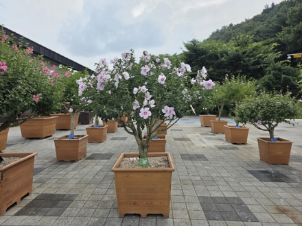충남 무궁화 ‘대통령상’ 수상