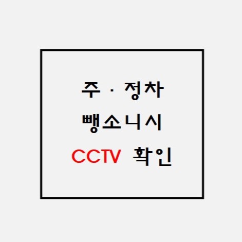 주정차 뺑소니 CCTV.jpg
