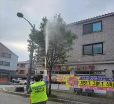 1. 아산시, 가로수 돌발해충 ‘미국흰불나방’ 선제적 방제 추진 (1).jpg