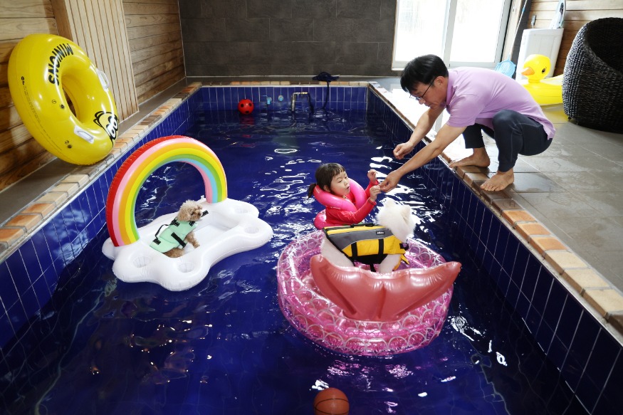 3. 반려동물 숙박대전 2.JPG