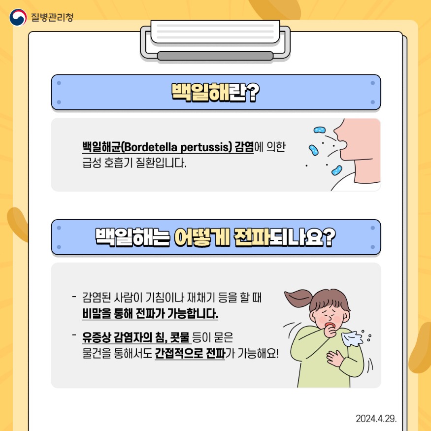 3. 백일해 급증, 면역력 없는 가족 내 접촉자 70% 이상 전파 가능 (2).jpg