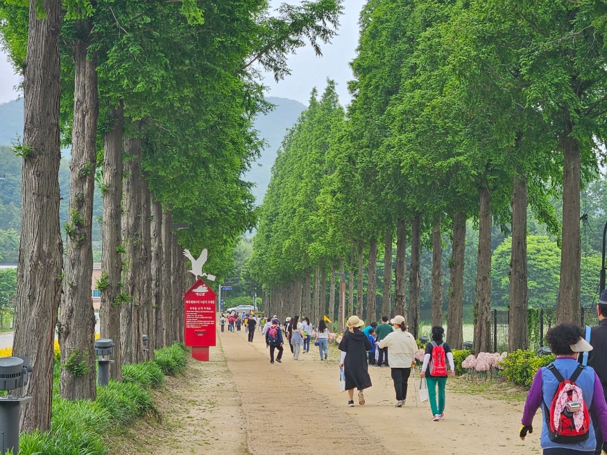 3.덕산온천 명상치유숲 둘레길 걷기 행사 (2).jpg