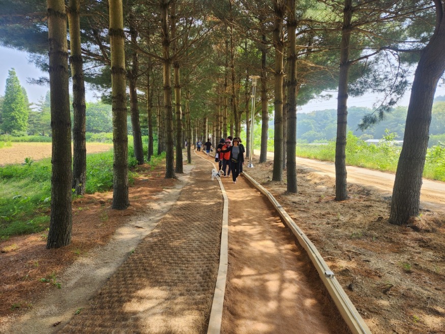1.덕산온천 황톳길 조성지 전경.jpg
