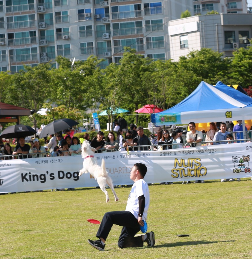 2. 동문근린공원 일원에서 6월 1일 개최된 ‘제2회 반려동물 문화축제’5.jpg