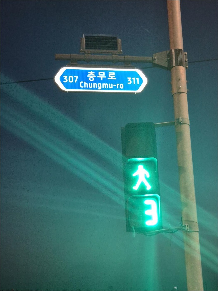 2. ‘밤에도 잘 보여요’…아산시, 태양광 LED 도로명판 설치 (2).jpg