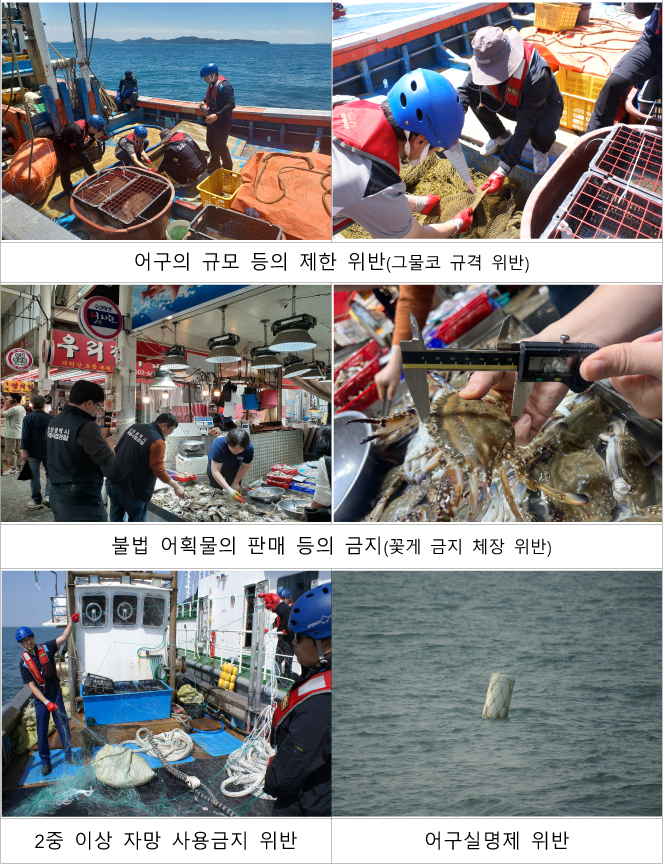 (1)_2_인천시__봄철_산란기_불법어업_11건_적발-3.jpg