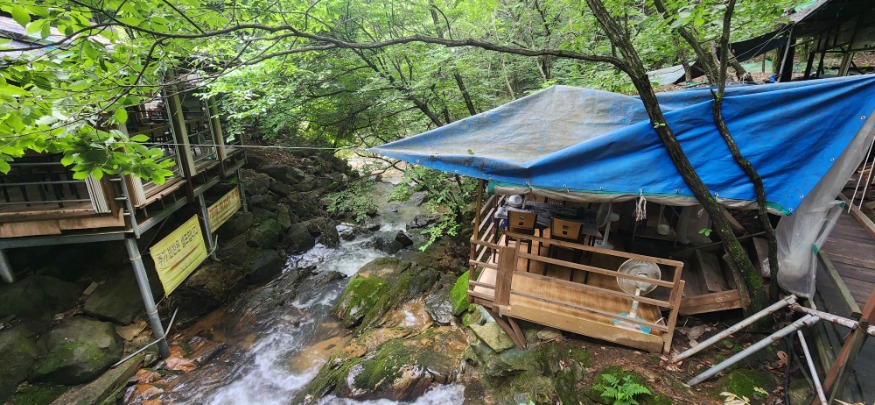 하천과(소하천 내 불법행위 합동단속) (2).jpeg