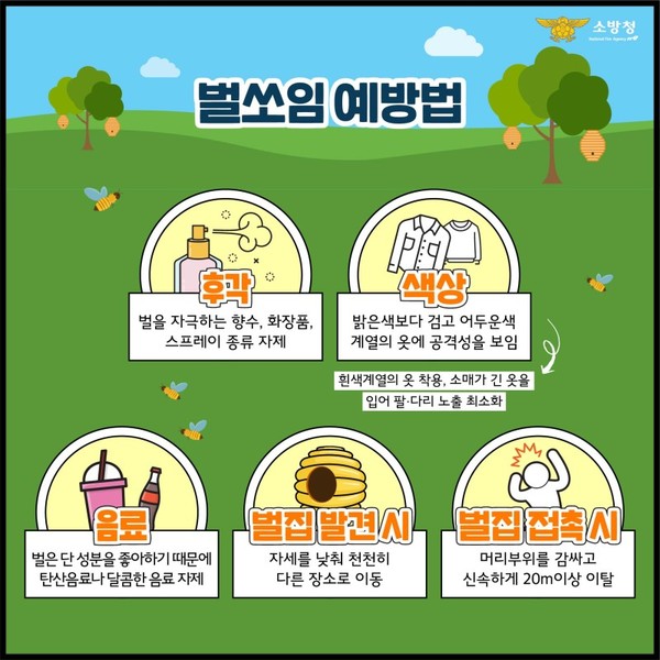 관련사진(벌쏘임 예방법).jpeg