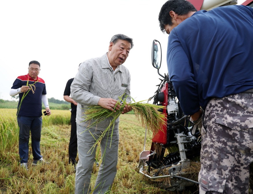 4. 첫 벼 수확 1.JPG