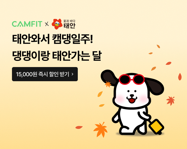 3. 반려동물 동반여행 숙박대전 3(캠핏).jpg
