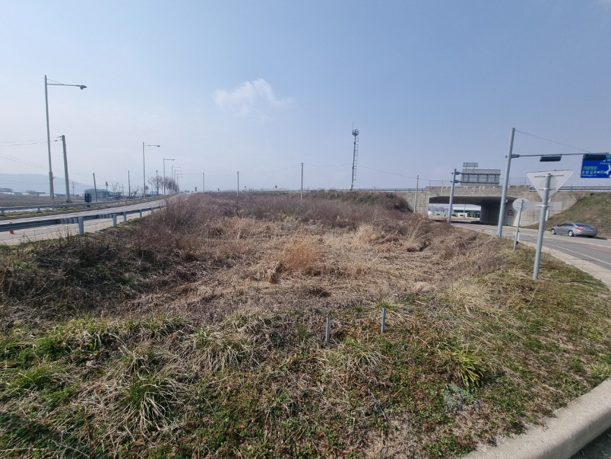 1.기후대응 도시숲 예정지(국도45호선변 삽교교차로).jpg