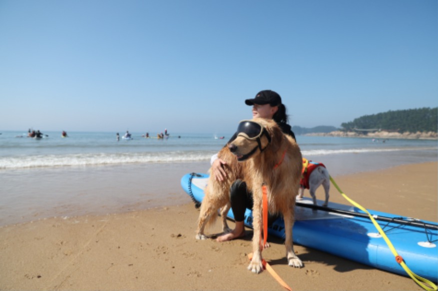 3. 댕댕이랑 태안가는 달 프로그램 추진 1(만리포 240907).JPG