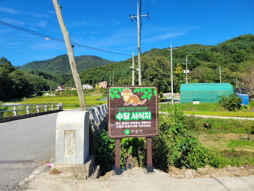 2. 아산시, 온양천 상류 수달보호 안내 간판 설치 (2).jpg