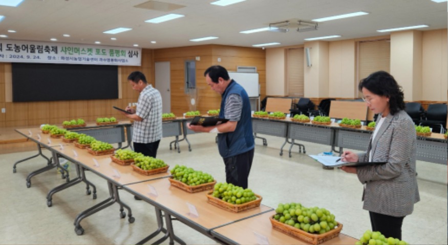1-2. 샤인머스캣 포도 품평회.jpeg