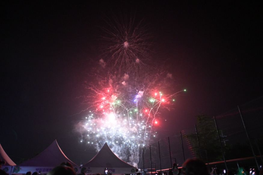 의좋은형제 축제 불꽃놀이.jpg