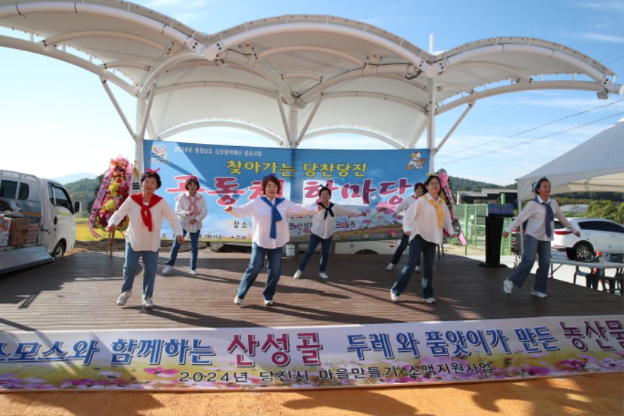 (사진2) 찾아가는 당찬당진 공동체 한마당(3).jpeg