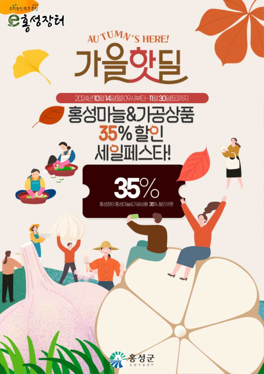 11일 (홍성군, 가을 김장철 맞아 ‘홍성마늘’ 특별 할인전 실시).jpg