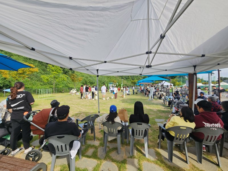 1-2 평택시 반려동물 인식개선 문화 페스티벌 성황리 개최.jpg