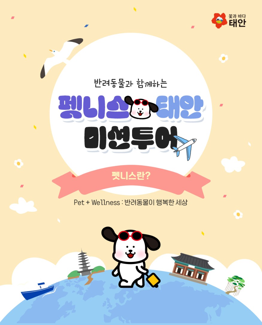 2. 펫니스태안 미션투어 1.jpg