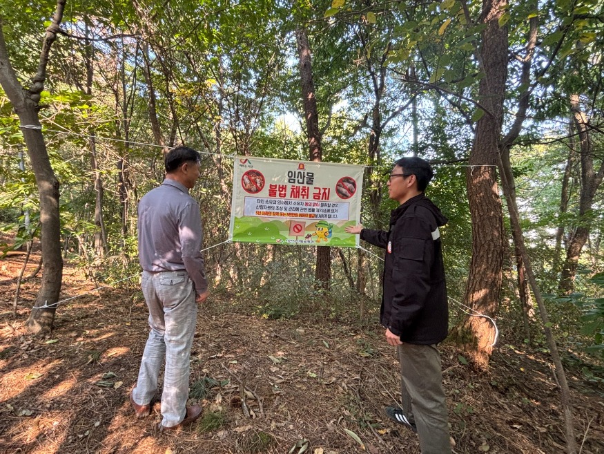 5. 24일 부춘산 일원에서 진행된 임산물 불법 채취 단속.jpg