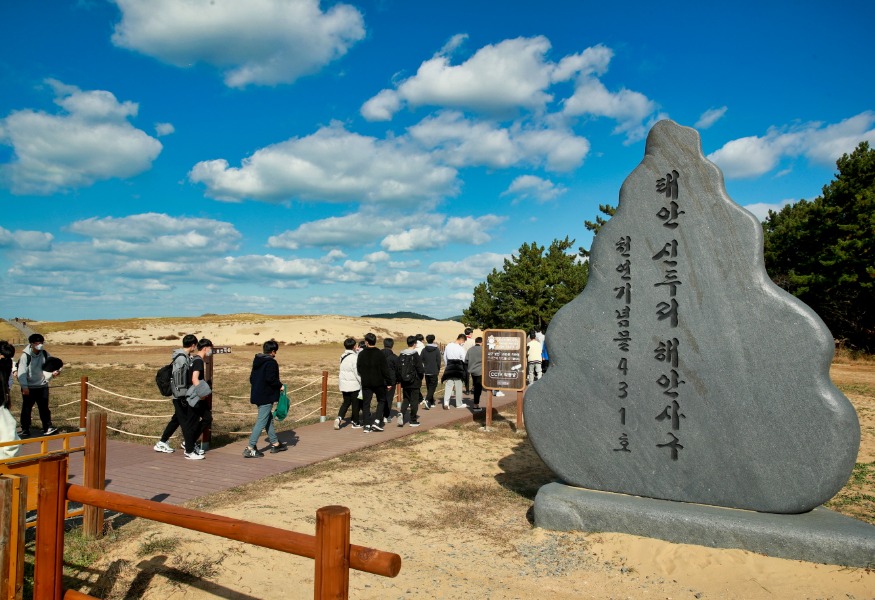 사구축제 및 거리축제 2일 개막 2(신두사구).jpg
