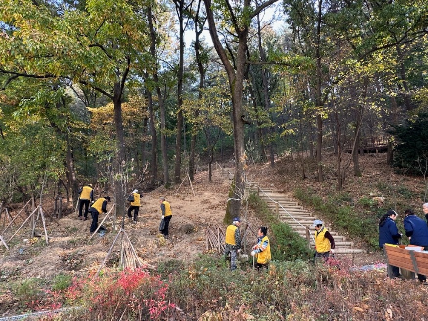 산림휴양과(숲가꾸기) (3).jpg