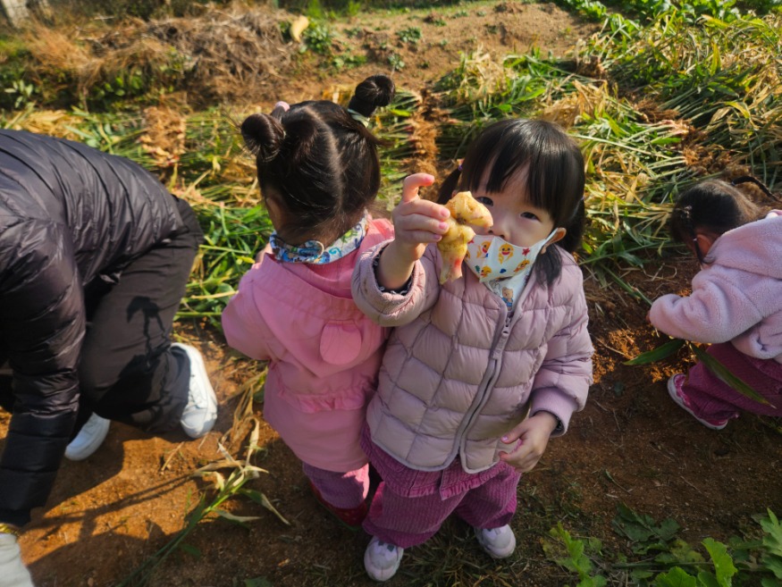 (사진5) 박물관 체험교육(우리동네명사와의 만남)(생강및무뽑기체험(1).jpg