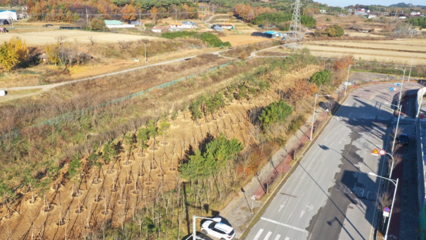 (사진1) 도시숲 조성(석문산단).jpg