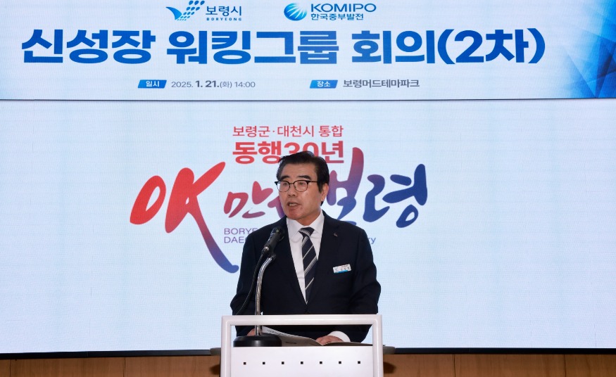 보령시-중발 신성장 워킹그룹 회의1.jpg
