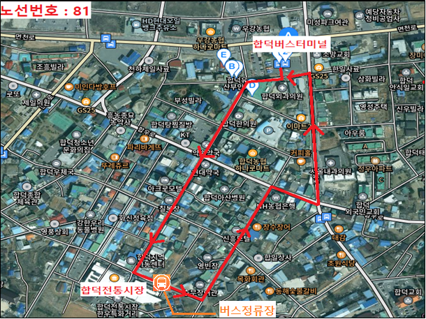 (사진3)합덕시장 순환버스 운행노선도.jpg