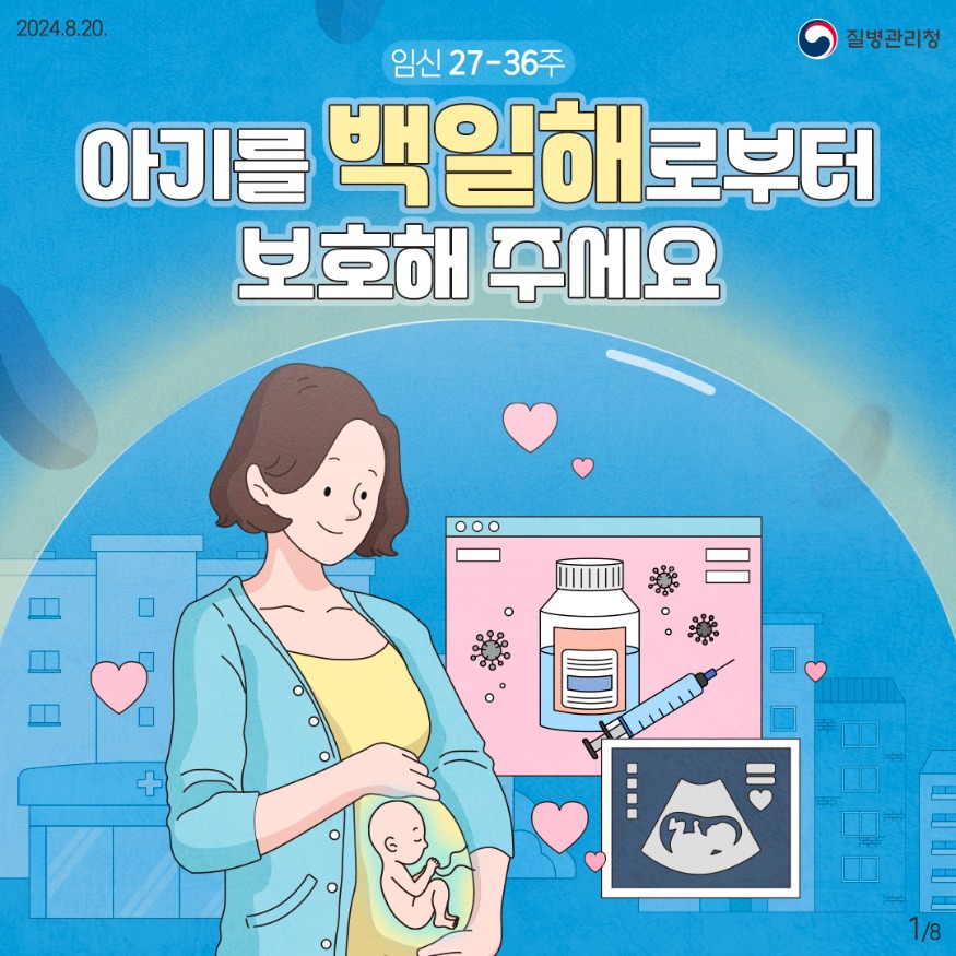 27일 (홍성군, 임신부 및 배우자 백일해 무료 예방접종 지원).jpeg
