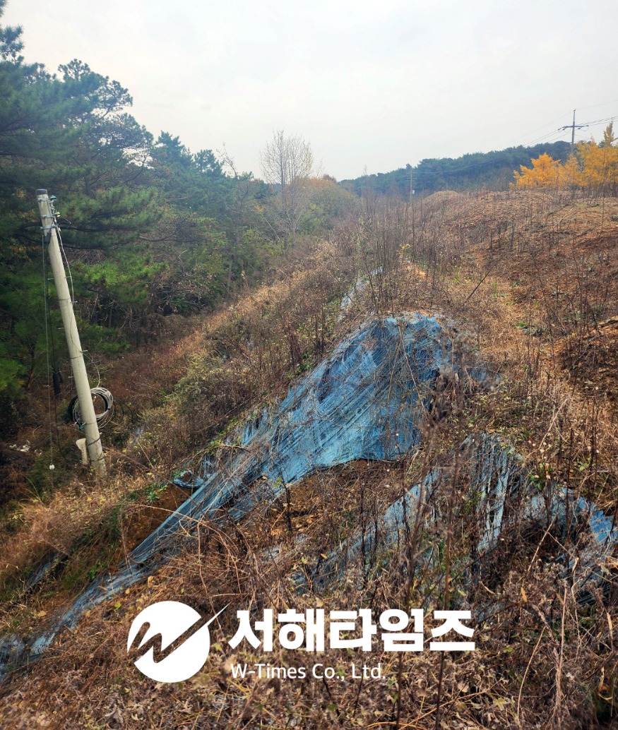 고대불법매립.jpg