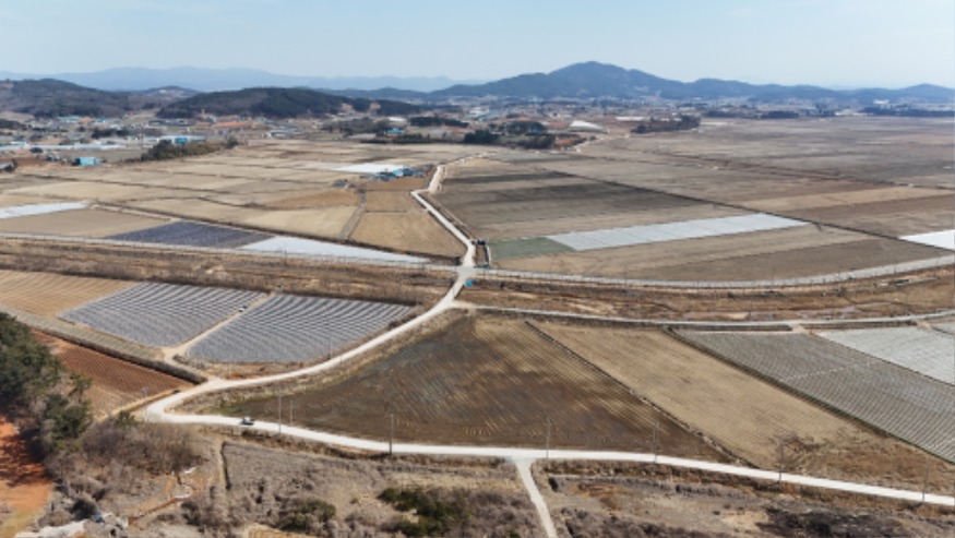 2. 지난해 12월 확포장 공사가 완료된 B지구 기계화 경작로.JPG