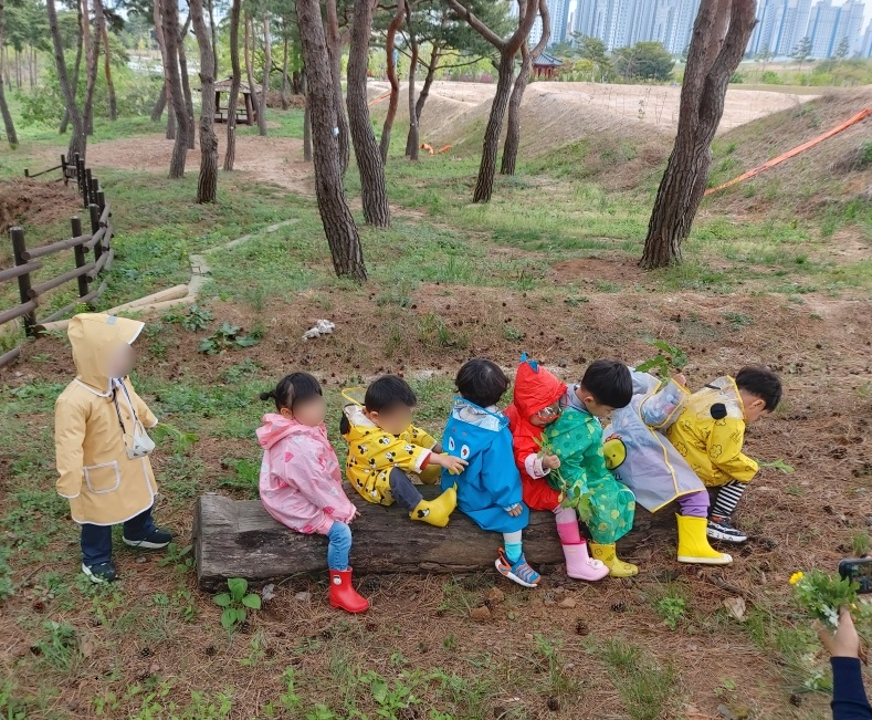 12일 (홍성군, 아이와 함께하는 숲체험프로그램 운영).png