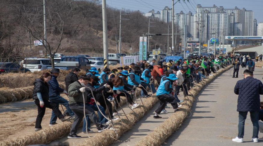 (사진1)2024년 기지시줄다리기 큰 줄 제작1.jpg