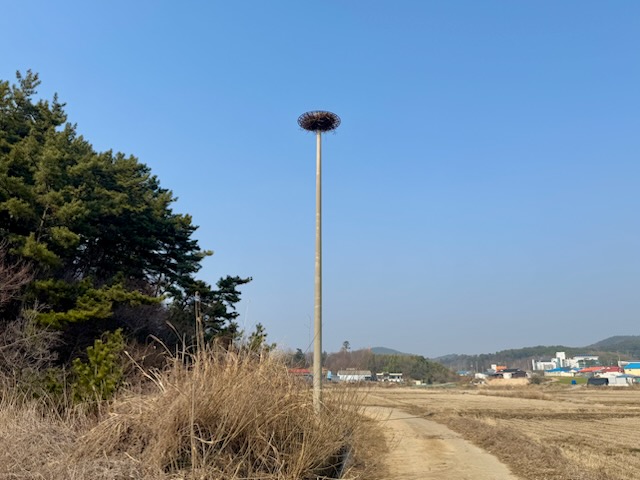3. 21일 팔봉면 어송리 송전탑 주변에 설치된 인공 둥지탑1.jpg