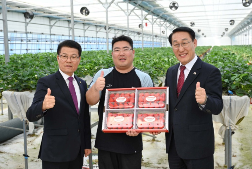 26일 (홍성 프리미엄 딸기 골드베리 K딸기 왕좌 노린다!)2.JPG