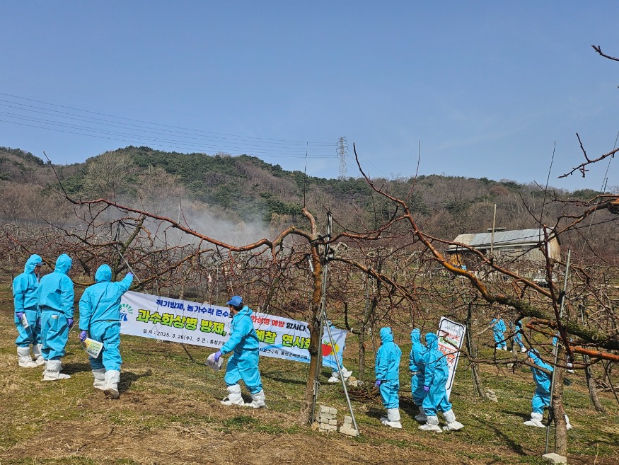 27일 (홍성군, 과수화상병 확산 방지 및 산불예방 총력!).jpg