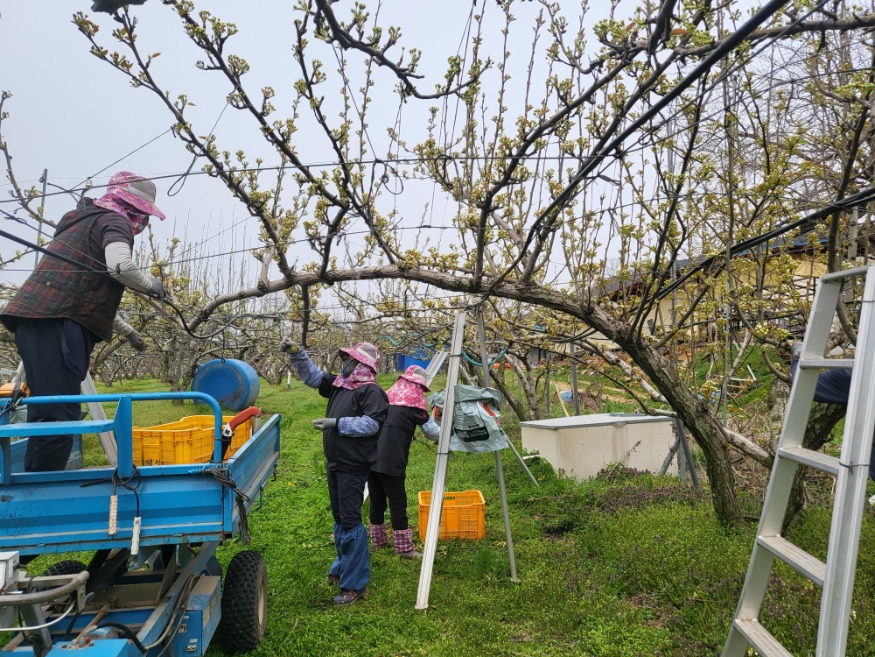 (사진4)신기술 실증(배 연구).jpg