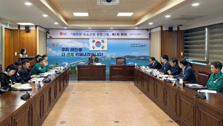 2. 수소산업 워킹그룹 회의 2.jpg