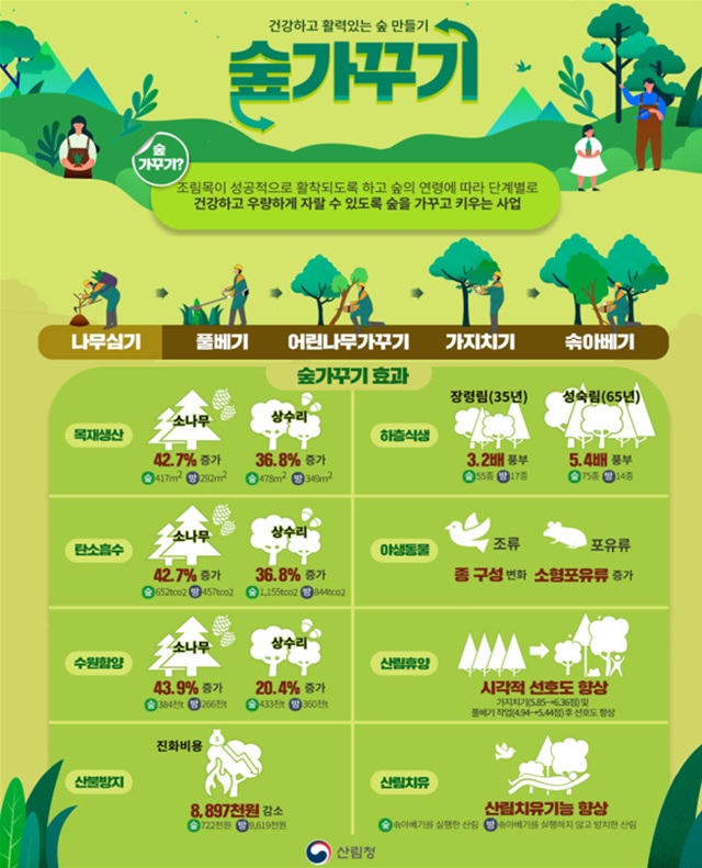 숲가꾸기_효과_포스터(제공=산림청).jpg