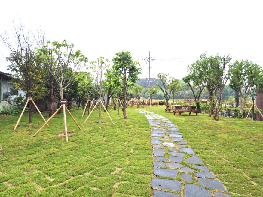 1. 아산시, 도고초등학교에 ‘학교숲’ 조성완료.jpg